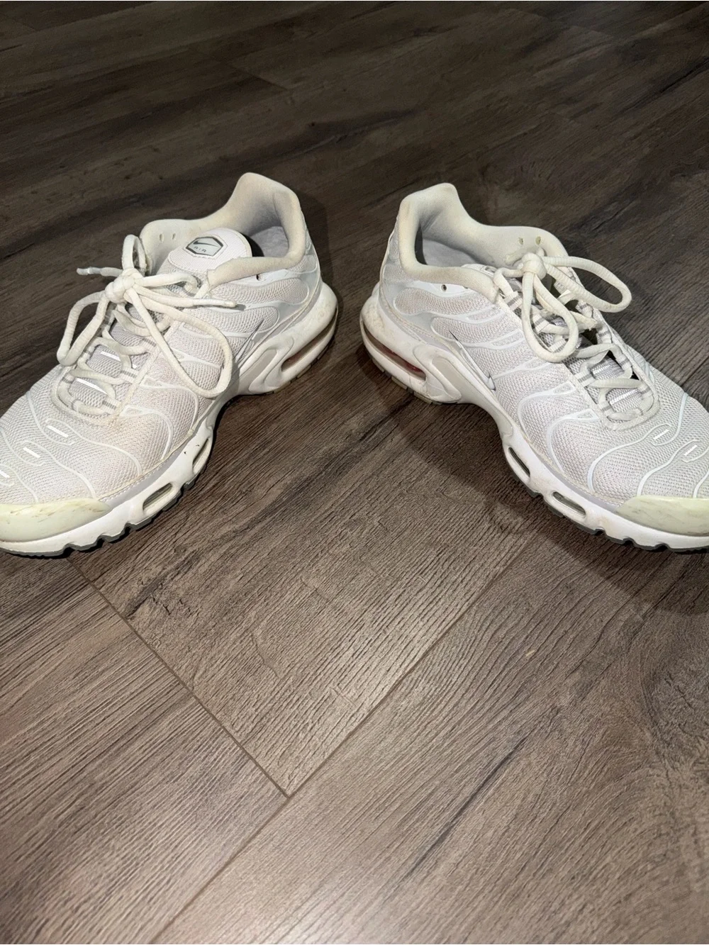 Nike Men’s Air Max tn Sneakers